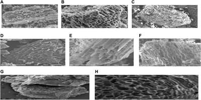 Sustainable manufacture and application of biochar to improve soil properties and remediate soil contaminated with organic impurities: a systematic review